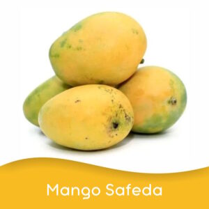 Mango Safeda (Per Unit)