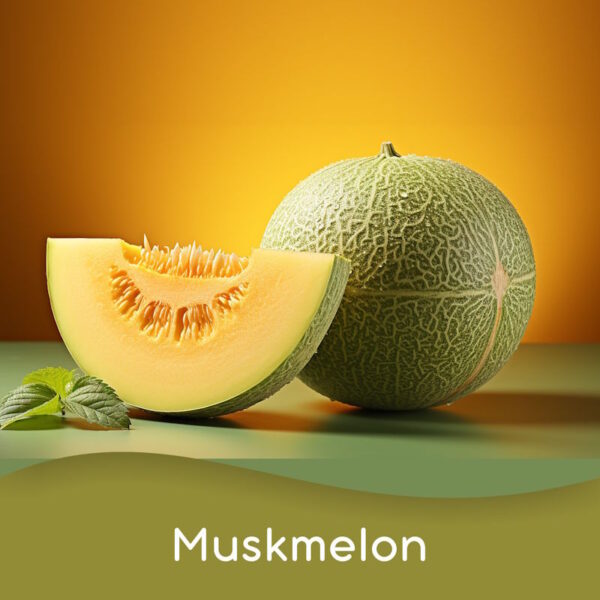 Muskmelon (Per Unit)