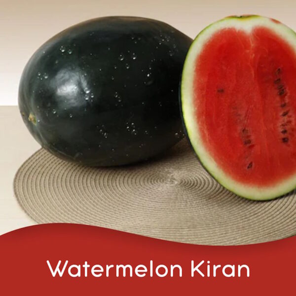 Watermelon Kiran (Per Unit)